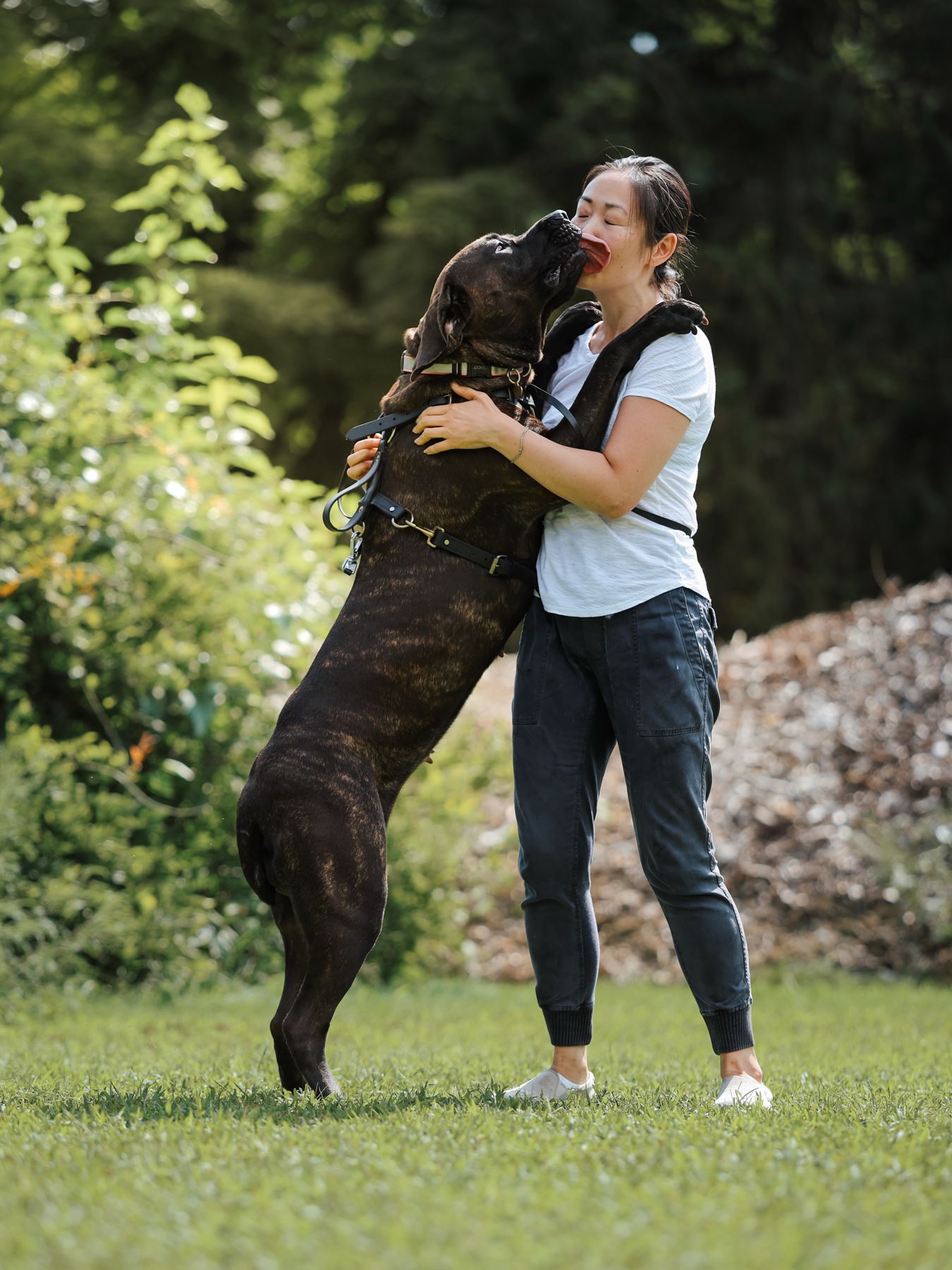 Woman hugging her cane corso
